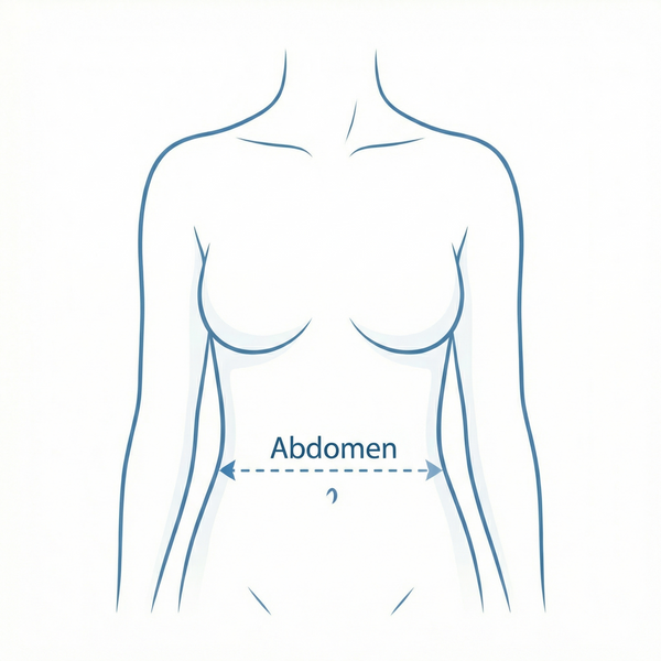 4. Abdomen